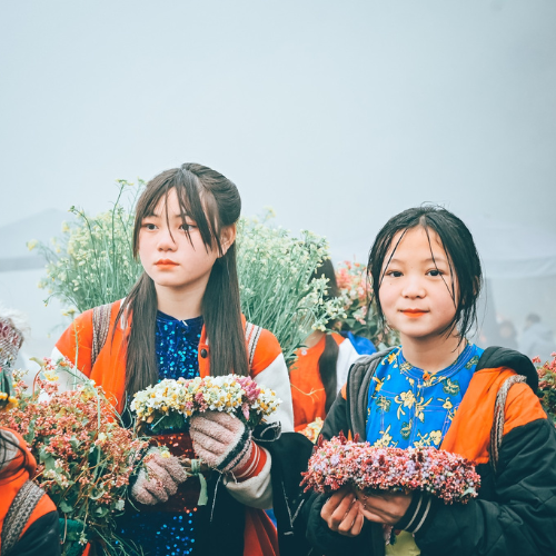 Dong Van Old Town Dong Van Old Town